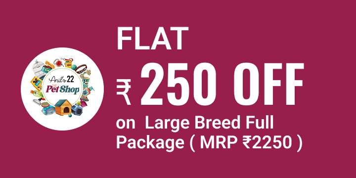 ANIL'S 22 The Pet Shop