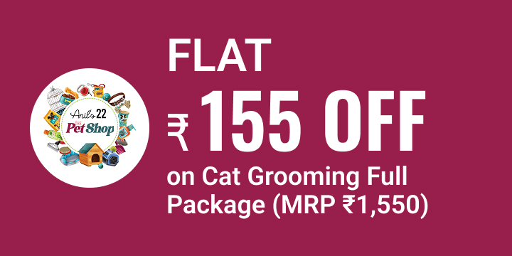 ANIL'S 22 The Pet Shop