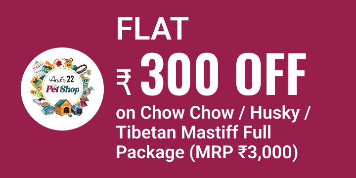 ANIL'S 22 The Pet Shop